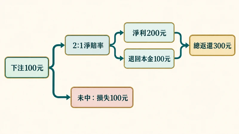 保險注100元以淨賠率2:1獲勝時淨利200元、加回本金後總返還300元的示意圖。
